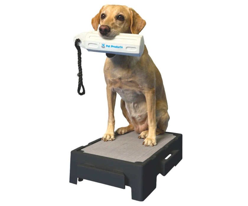 Blue-9 Dog Klimb Junior Platform - Low-Height Step for Injury Recovery, Mobility Support & Gentle Conditioning (61cm L × 39cm W × 16cm H)