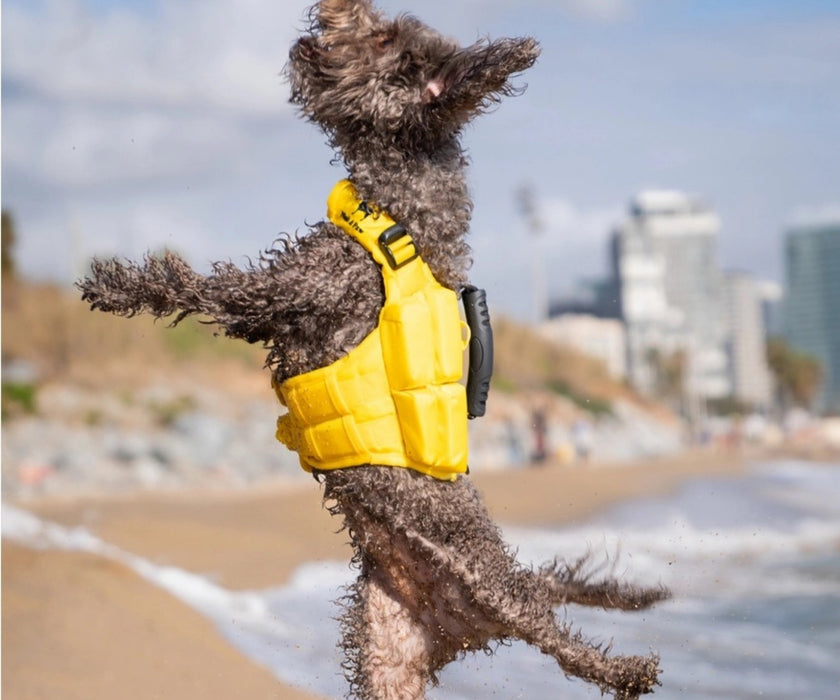 Noah & Paw Dog Life Jacket - Human Standards Life Jacket with Reinforced Rescue Handles for Comfortable & Supportive Swimming