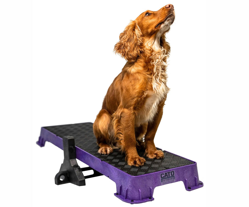Cato Dog Outdoors XL Training Plank - Non-Slip Elevated Platform for Obedience Training, Balance Work & Confidence Building (31cm W x 92cm L x 9cm H)