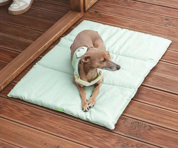 Flat Padded Nomad Dog Bed (by Qisu) - Perfect For Travelling, Home, the Park, Visiting Friends