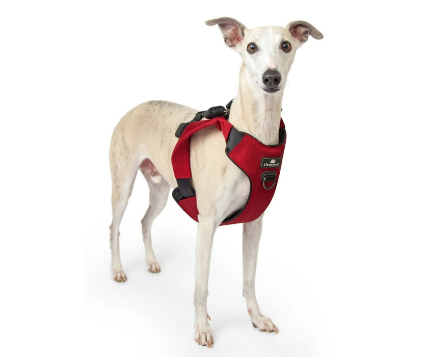 Sleepypod ClickIt Range Dog Car Safety Harness - Easy Lifting & Secure Travel for Your Dog