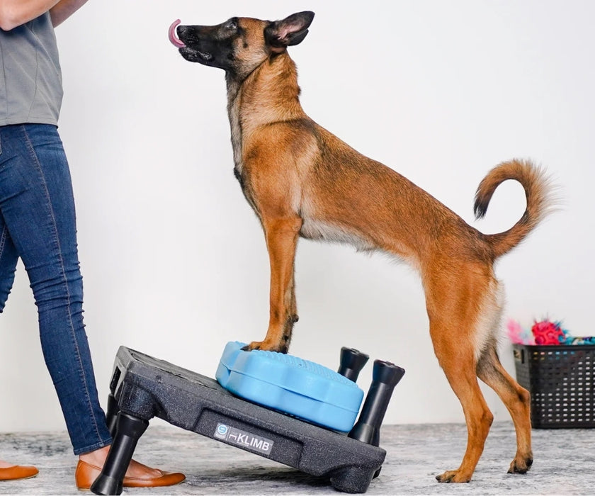 Blue-9 Dog Propel Air Platform - Inflatable Balance & Conditioning Platform for Strength, Stability & Rehabilitation Training