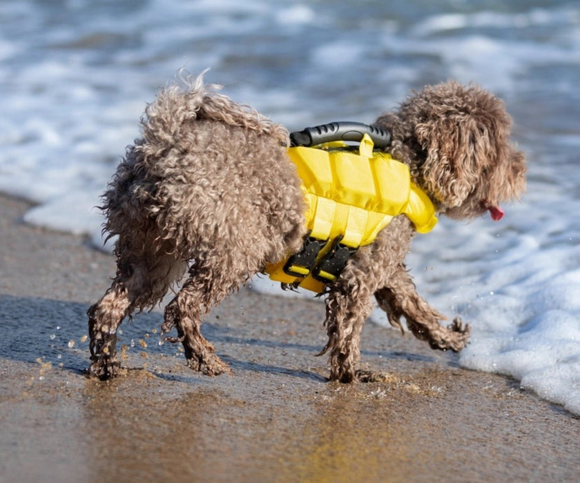 Noah & Paw Dog Life Jacket - Human Standards Life Jacket with Reinforced Rescue Handles for Comfortable & Supportive Swimming