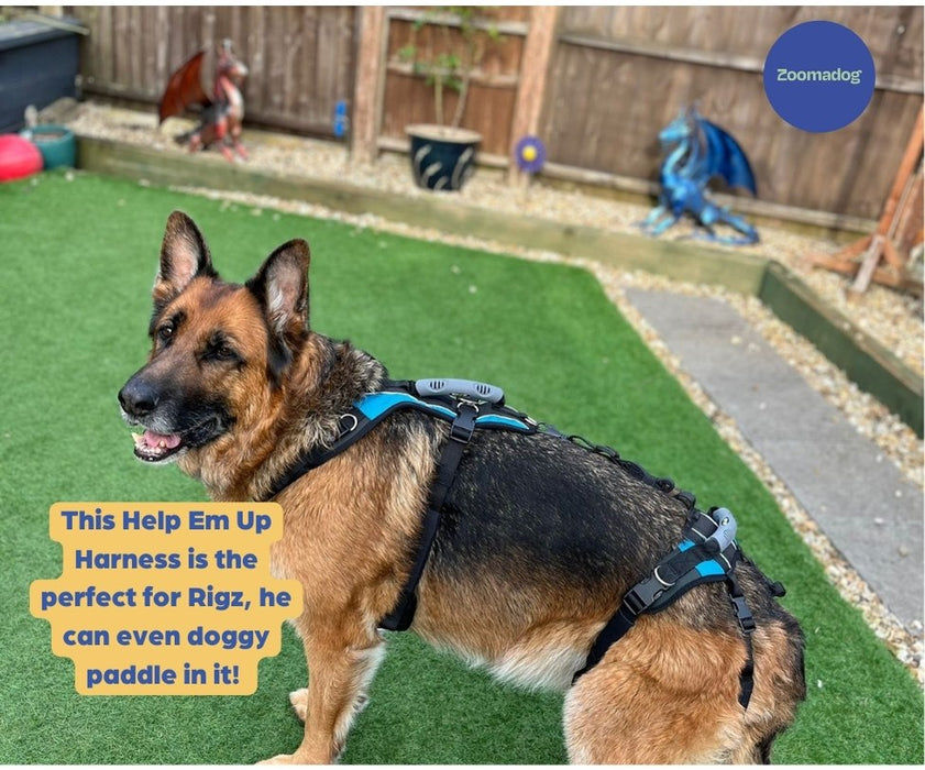 Help Em Up Dog Harness - U-Band Design (for male dogs whose penis is located further back)