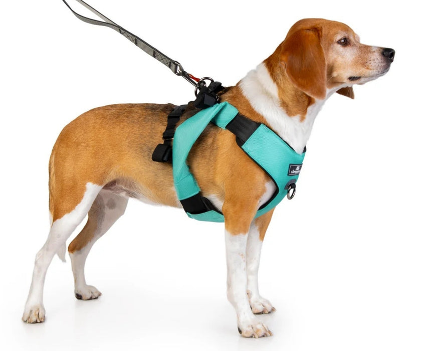 Sleepypod ClickIt Range Dog Car Safety Harness - Easy Lifting & Secure Travel for Your Dog