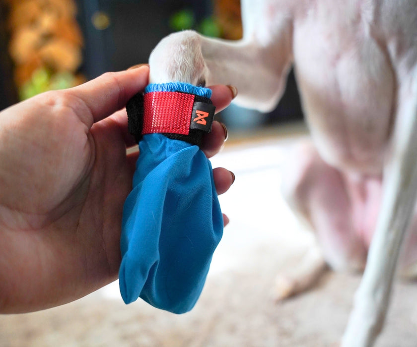 Non-Stop Dogwear Long Distance Dog Boots - Light Shoes with Good Grip to Protect Against Snow & Ice (four boots)