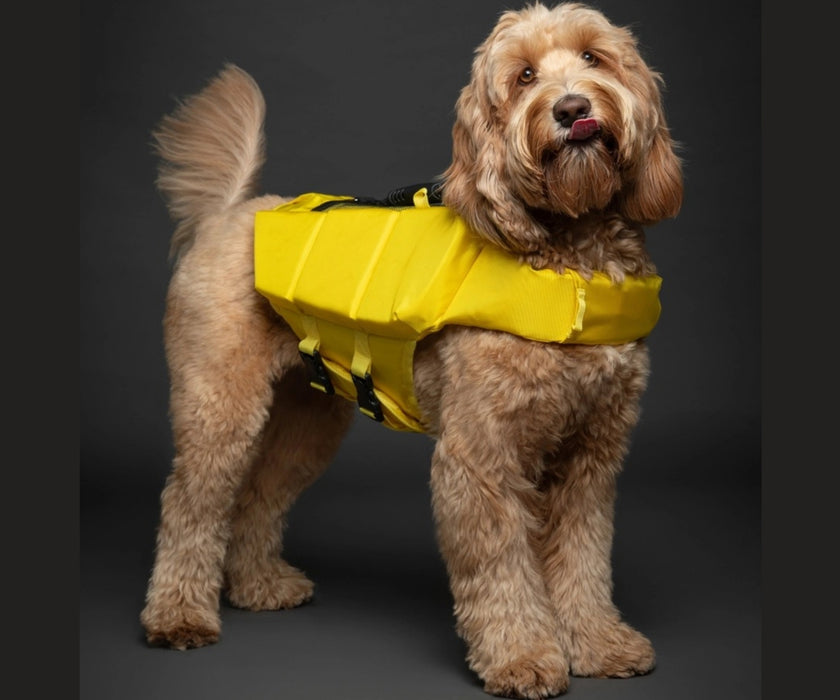 Noah & Paw Dog Life Jacket - Human Standards Life Jacket with Reinforced Rescue Handles for Comfortable & Supportive Swimming