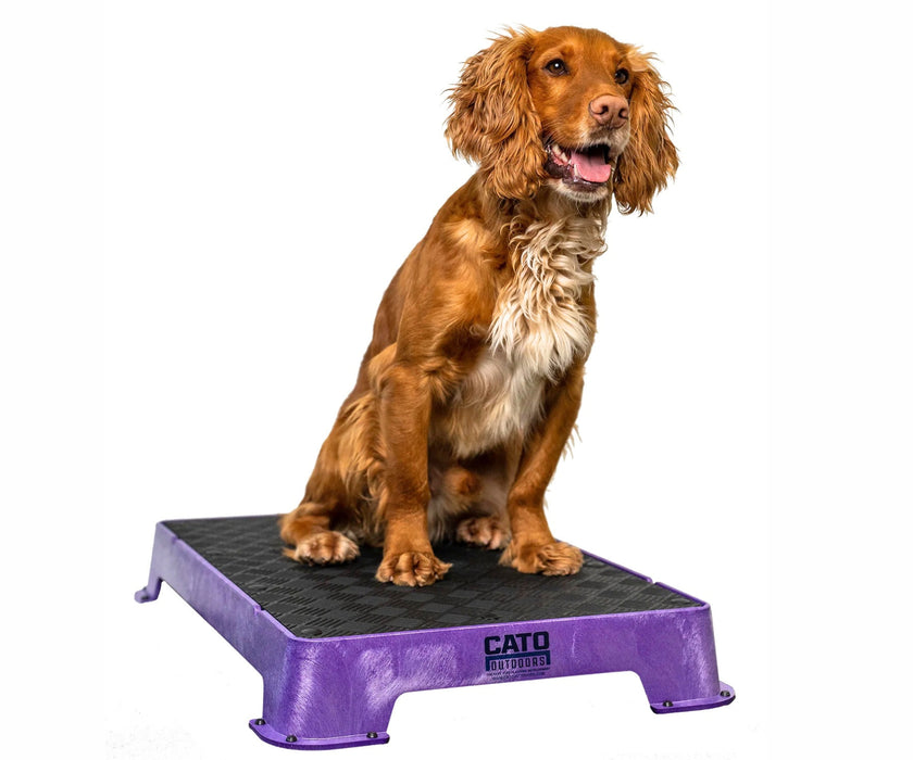 Cato Dog Outdoors Training Board - Durable, Non-Slip Training Platform for Stability & Confidence Building (41cm W x 61cm L x 9cm H)