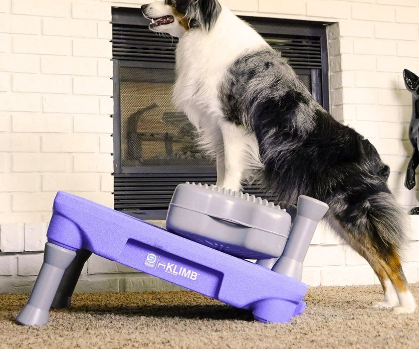 Blue-9 Dog Klimb Training Platform - Non-Slip Elevated Platform for Rehabilitation & Strength Building (61cm L x 61cm W x 31cm H)