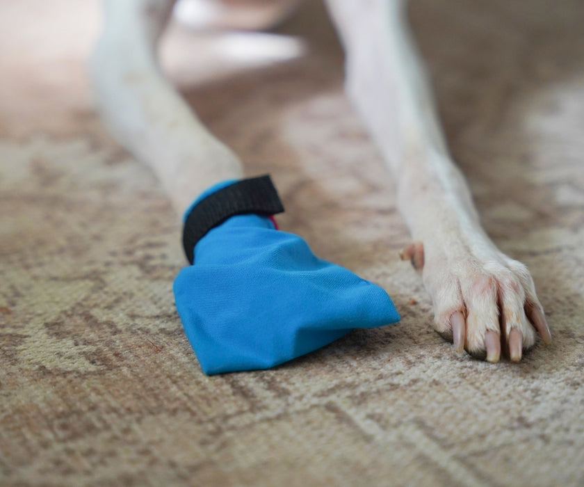 Non-Stop Dogwear Long Distance Dog Boots - Light Shoes with Good Grip to Protect Against Snow & Ice (four boots)
