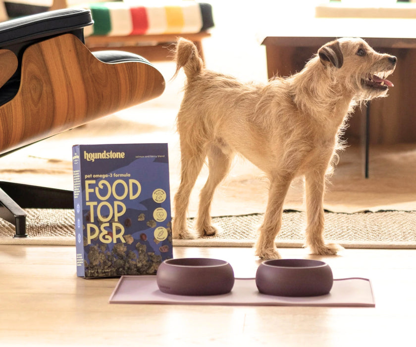 Houndstone Silicone Dog Bowl - Durable Well Designed Travel Bowl for Small Dogs (237ml capacity)