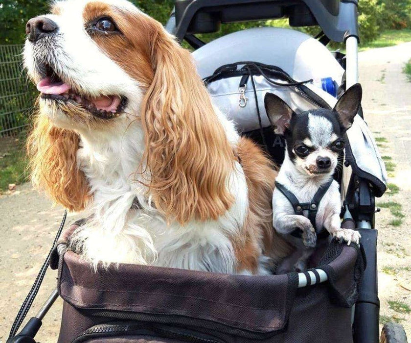 'Comfort' Dog Stroller - Dogs under 25kg - 2 Year Warranty