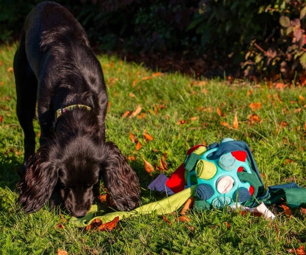 Interactive Snuffle Ball for Dogs - Enrichment Toy to Encourage Foraging