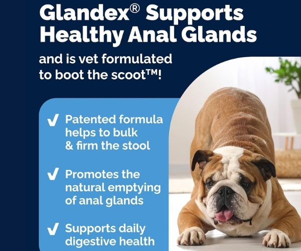 Glandex Anal Gland Support Chews for Dogs - Peanut Butter 30 Soft Chews