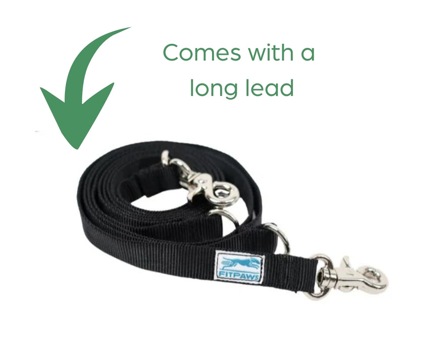 Made to Move Front Dog Harness and Lead - For Training, Walks, Hydrotherapy etc (Black)