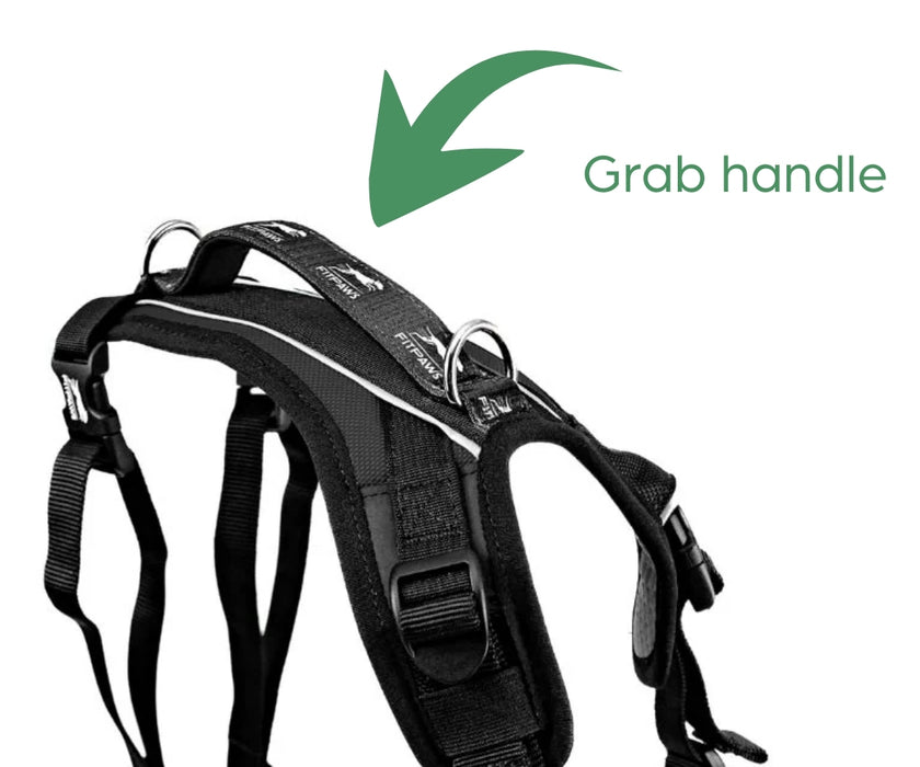 Made to Move Front Dog Harness and Lead - For Training, Walks, Hydrotherapy etc (Black)