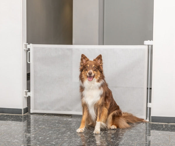 Dog Roller Extendable Barrier - Keep Your Dog Safely Contained (137cm ...