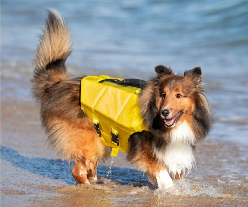 Noah & Paw Dog Life Jacket - Human Standards Life Jacket with Reinforced Rescue Handles for Comfortable & Supportive Swimming
