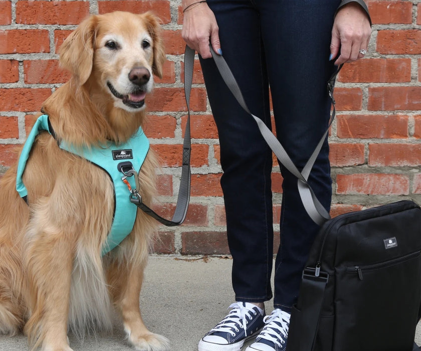 Sleepypod ClickIt Range Dog Car Safety Harness - Easy Lifting & Secure Travel for Your Dog