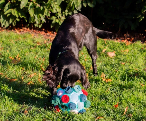 Interactive Snuffle Ball for Dogs - Enrichment Toy to Encourage Foraging