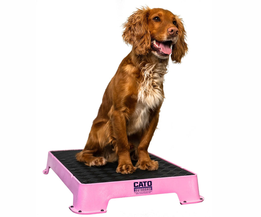 Cato Dog Outdoors Training Board - Durable, Non-Slip Training Platform for Stability & Confidence Building (41cm W x 61cm L x 9cm H)