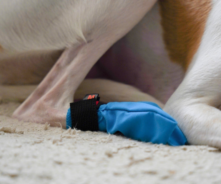 Non-Stop Dogwear Long Distance Dog Boots - Light Shoes with Good Grip to Protect Against Snow & Ice (four boots)
