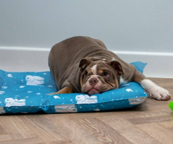 Ancol Ice Paws Cooling Bed for Dogs - Comfortable Cooling Bed Helps Your Dog Relax On Hot Days