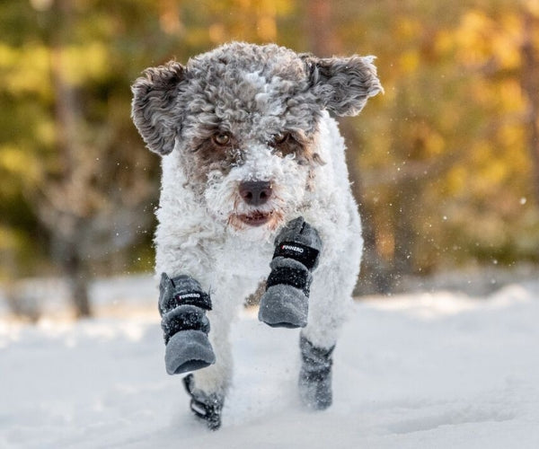 Reflective Tall Dog Boots - Fleece Reflective Boots, Keeps Your Dog Warm & Safe (four boots)