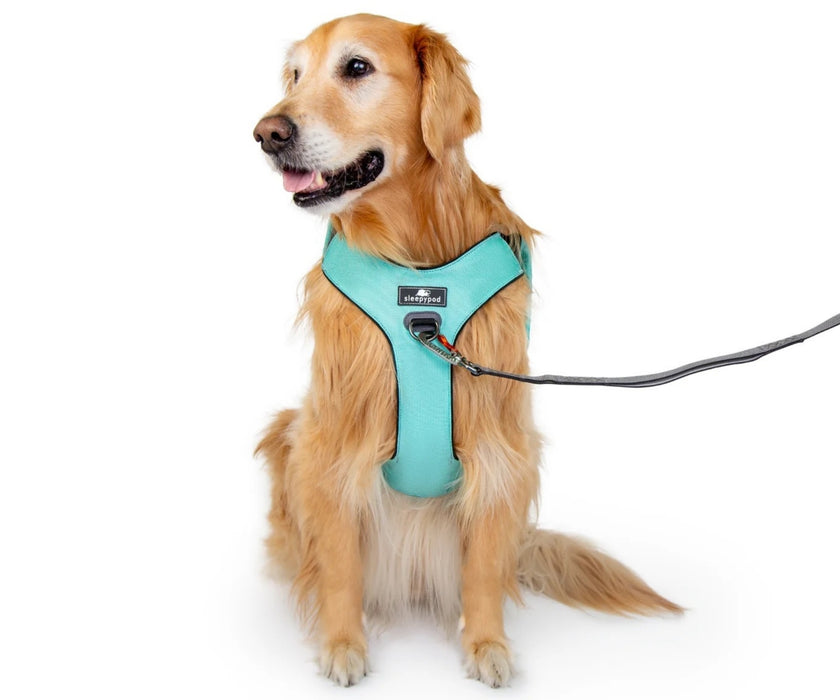 Sleepypod ClickIt Range Dog Car Safety Harness - Easy Lifting & Secure Travel for Your Dog