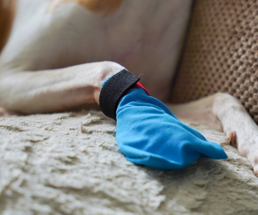 Non-Stop Dogwear Long Distance Dog Boots - Light Shoes with Good Grip to Protect Against Snow & Ice (four boots)