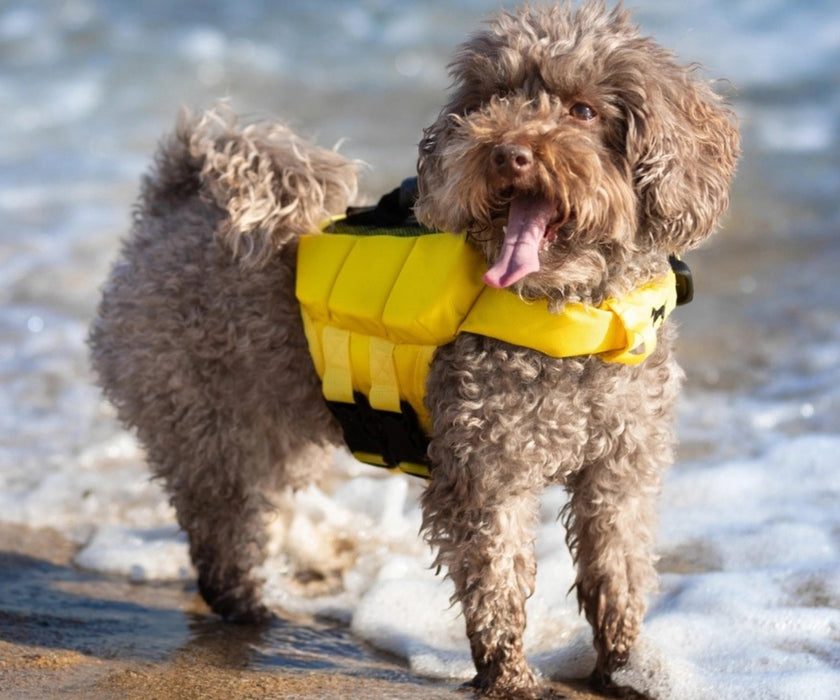 Noah & Paw Dog Life Jacket - Human Standards Life Jacket with Reinforced Rescue Handles for Comfortable & Supportive Swimming
