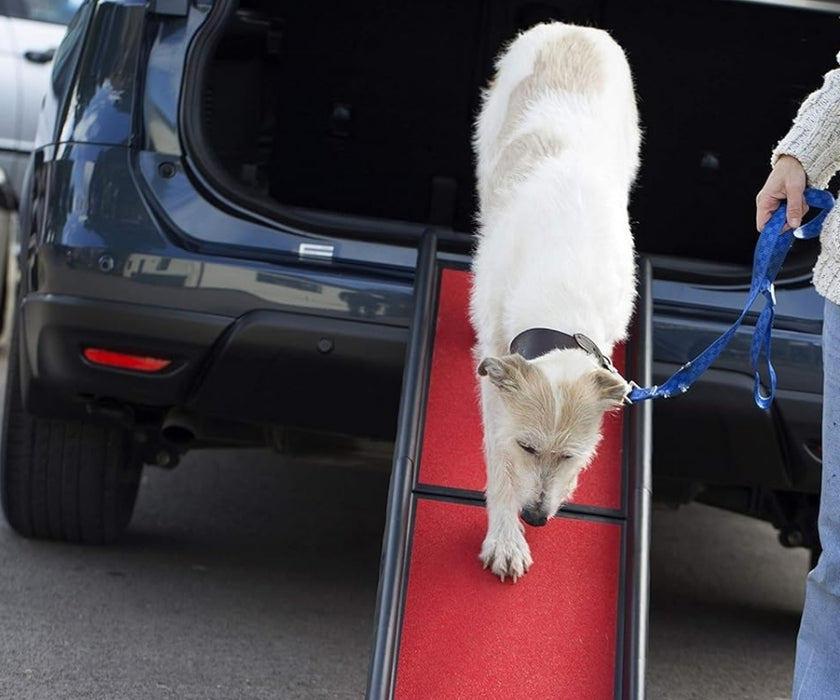 Henry Wag Car Ramp for Dogs - Lightweight & Portable (for dogs up to 90kg)