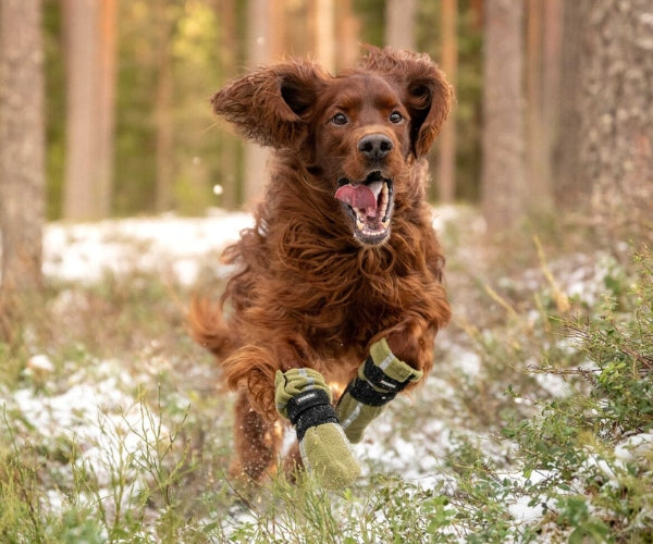 Reflective Tall Dog Boots - Fleece Reflective Boots, Keeps Your Dog Warm & Safe (four boots)