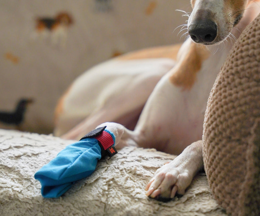 Non-Stop Dogwear Long Distance Dog Boots - Light Shoes with Good Grip to Protect Against Snow & Ice (four boots)