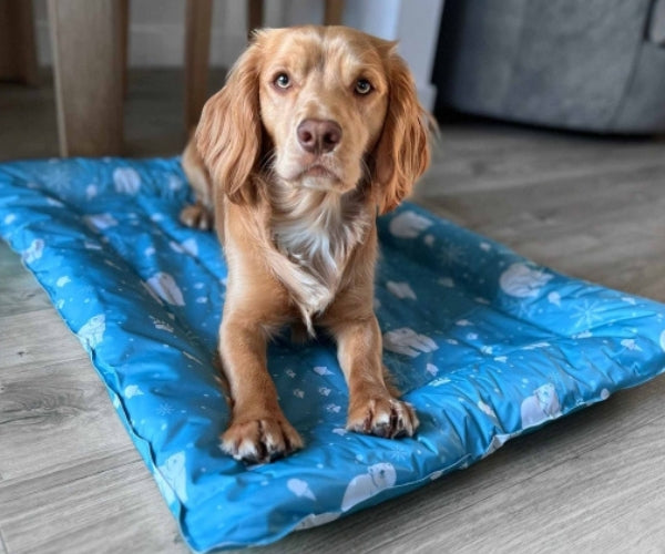 Ancol Ice Paws Cooling Bed for Dogs - Comfortable Cooling Bed Helps Your Dog Relax On Hot Days