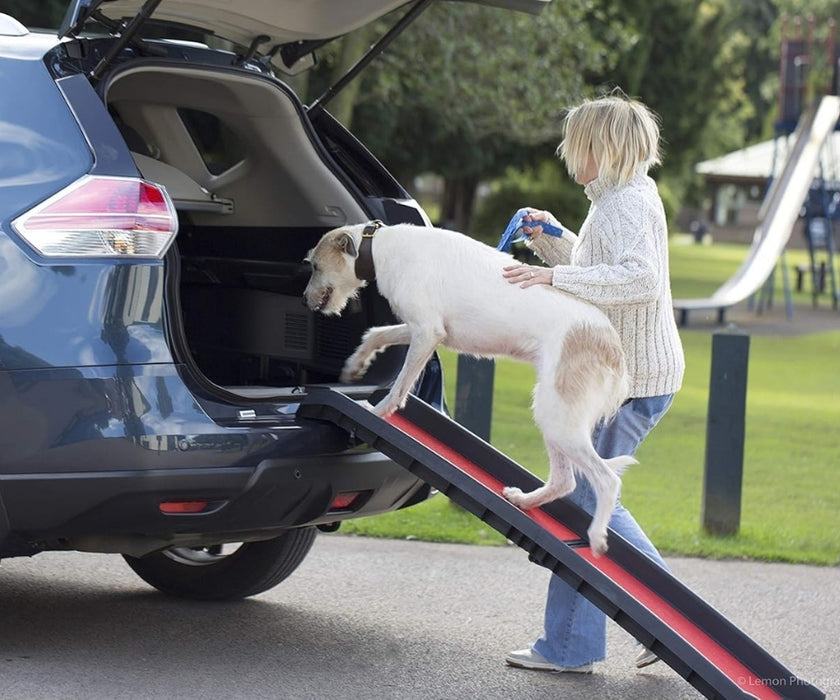 Henry Wag Car Ramp for Dogs - Lightweight & Portable (for dogs up to 90kg)