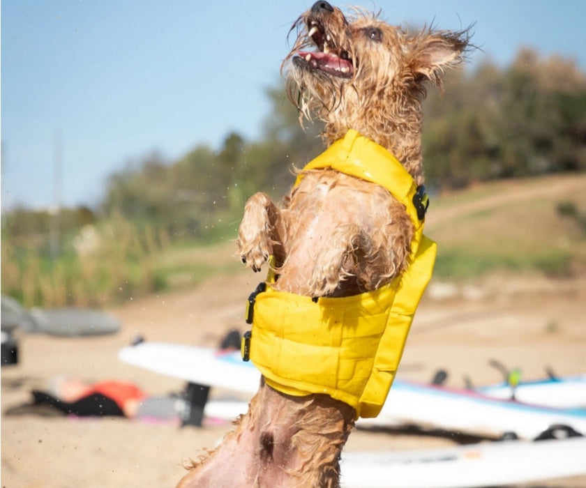 Noah & Paw Dog Life Jacket - Human Standards Life Jacket with Reinforced Rescue Handles for Comfortable & Supportive Swimming
