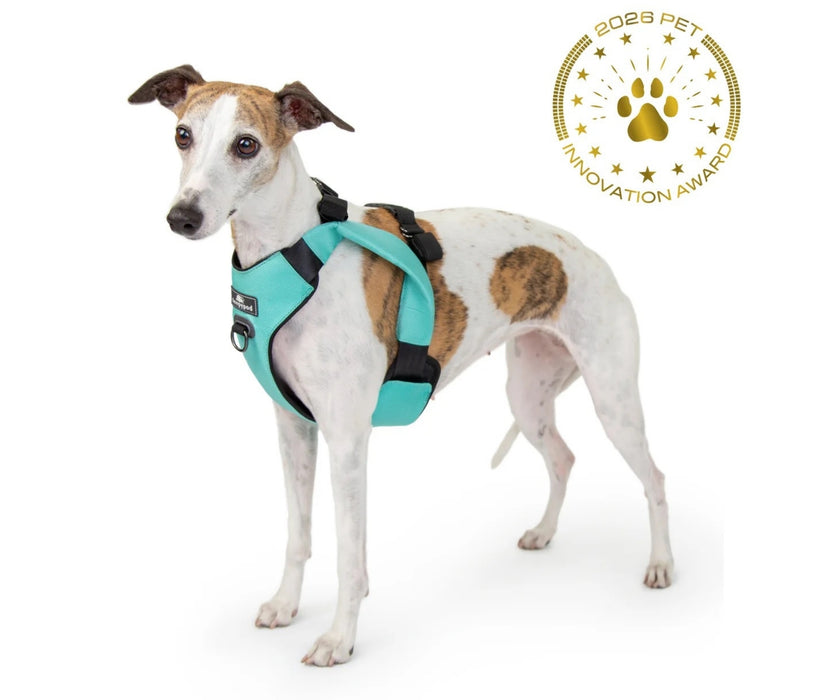 Sleepypod ClickIt Range Dog Car Safety Harness - Easy Lifting & Secure Travel for Your Dog