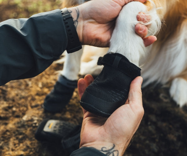 Ruffwear Ridgeline Lifestyle Dog Boots - Comfortable & Breathable for Everyday Adventures (two boots)