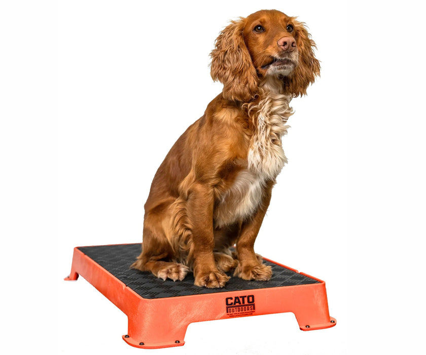 Cato Dog Outdoors Training Board - Durable, Non-Slip Training Platform for Stability & Confidence Building (41cm W x 61cm L x 9cm H)
