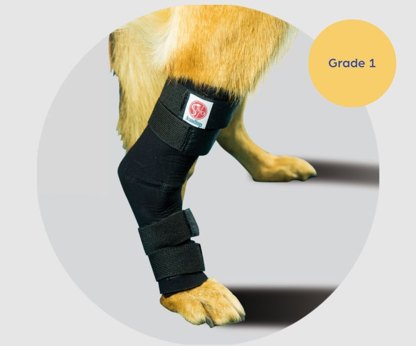 Scandi Orthopedic Hock and Tarsal Rear Wrap - Grade 1 (light)