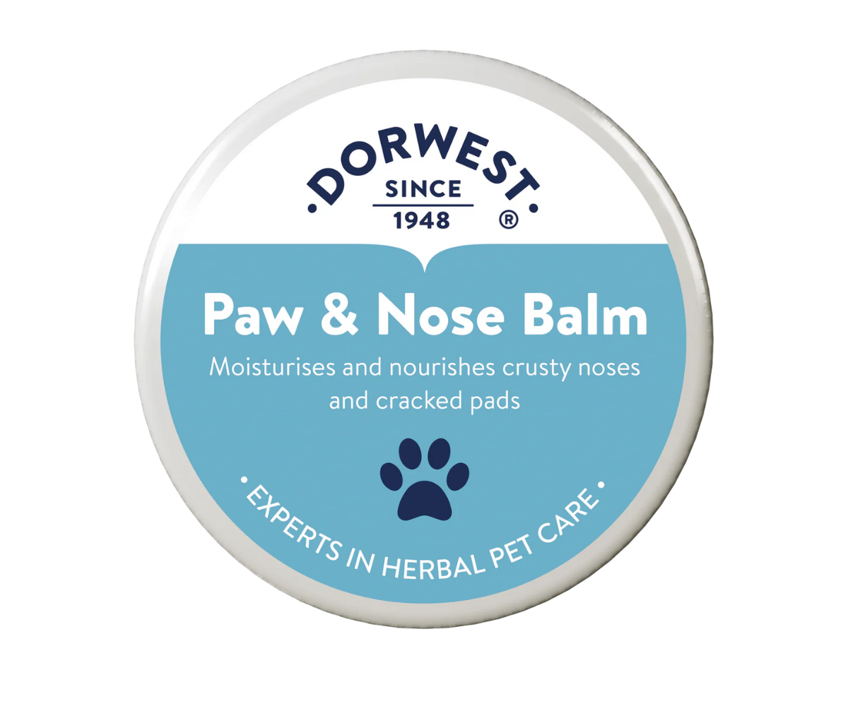 Best Dorwest Herbs Supplements & Remedies for Your Dog UK