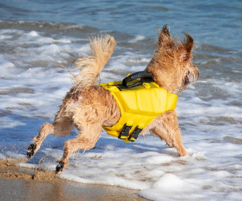 Noah & Paw Dog Life Jacket - Human Standards Life Jacket with Reinforced Rescue Handles for Comfortable & Supportive Swimming
