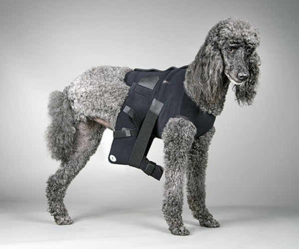 DogLeggs Ehmer Sling with Vest for Dogs - Enhances Your Dog's Comfort & Accelerates Their Recovery from Dislocated Hip