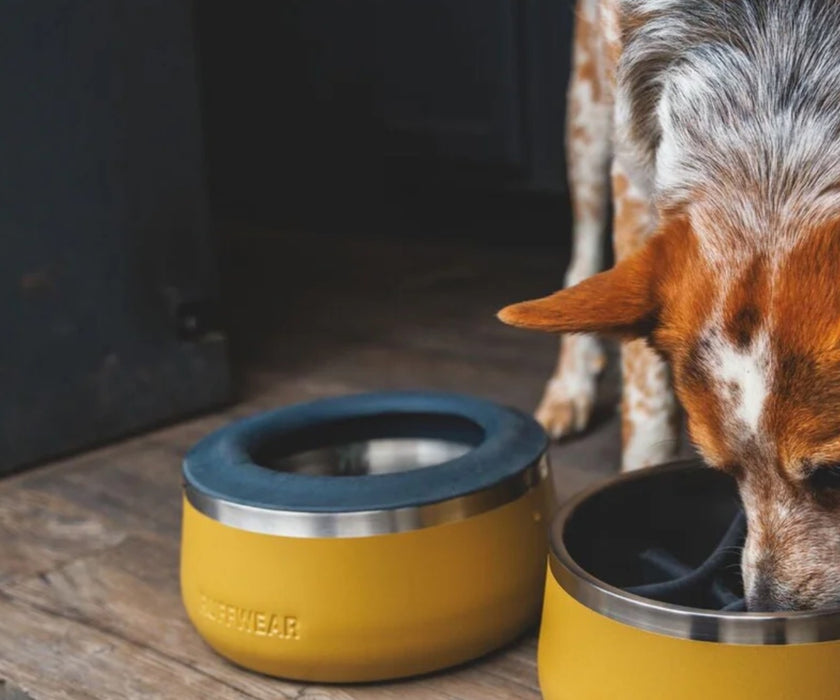 Ruffwear Basecamp Anti-Splash Ring for Dogs - Food-Safe Silicone Bowl Insert to Contain Water Splashes During Drinking or Travel