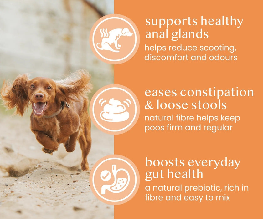 Fettle Pure Pumpkin Powder for Dogs - Helps Firm Stools & Supports Healthy Digestion