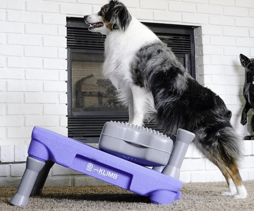 Blue-9 Dog Klimb Training Platform - Non-Slip Elevated Platform for Rehabilitation, Strength Building & Joint Stability (61cm L x 61cm W x 31cm H)