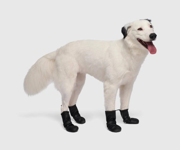 Canada Pooch Waterproof Rain Dog Boots - Non-Slip Rubber Grip Boots for Wet Weather Walks (four boots)