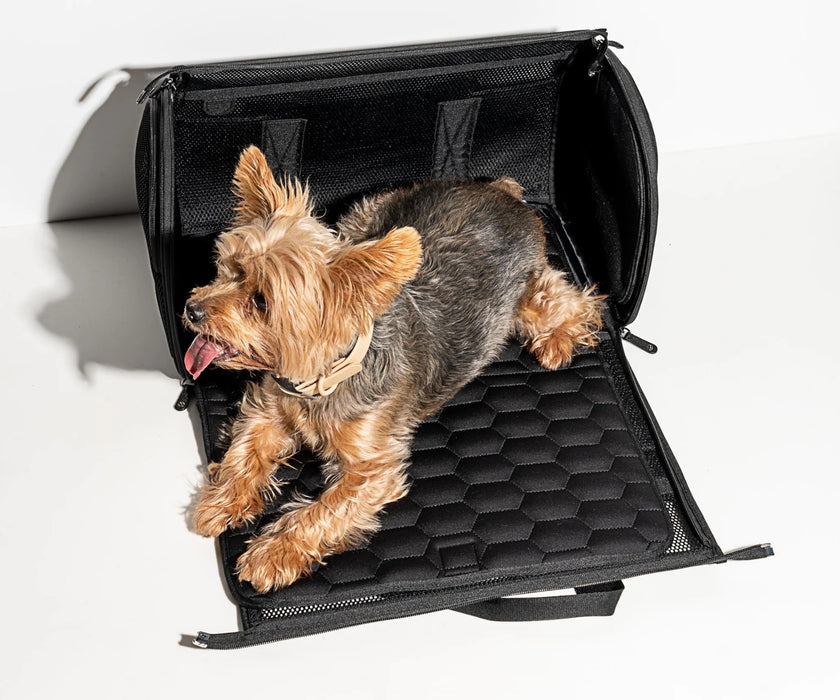Wild One Dog Travel Carrier - Comfortable, Secure & Versatile Travel for Small Dogs (up to 7kg)