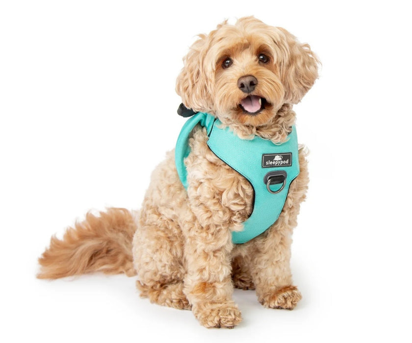 Sleepypod ClickIt Range Dog Car Safety Harness - Easy Lifting & Secure Travel for Your Dog